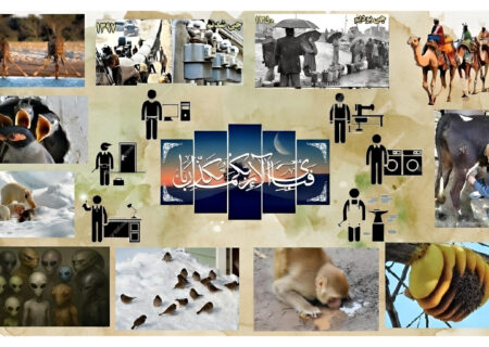 آلا؛ برنامه‌ای برای شناخت کرامت و جایگاه انسانی